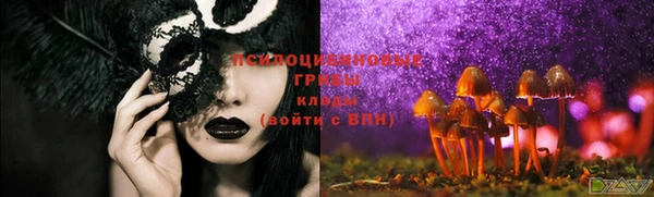 бутират Белокуриха