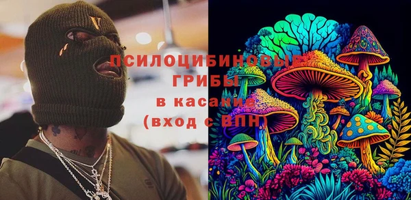 бутират Белокуриха