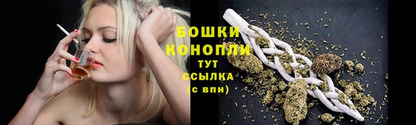 бутират Белокуриха