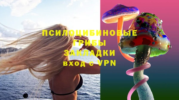 бутират Белокуриха